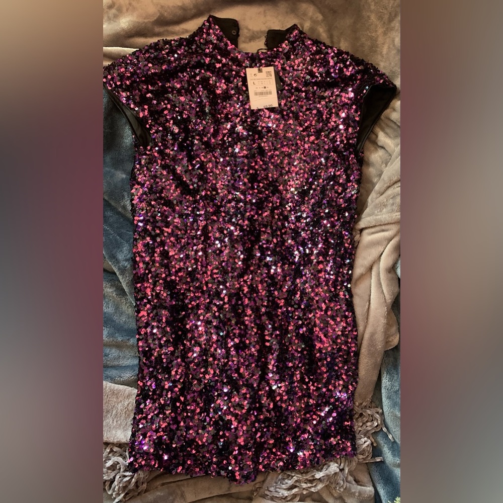 NWT Zara Pink Sequin Dress (L)